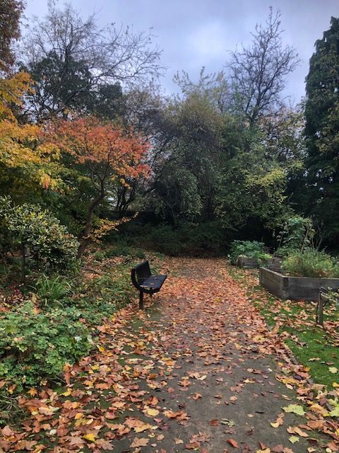 Autumn Begins 2025, Shakespearean Garden by Kattie Kincaid