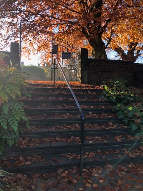 Autumn Begins 2025, Shakespearean Garden by Kattie Kincaid