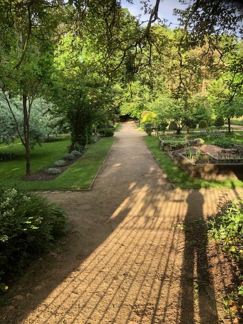 By Dawn's First Light, Shakespearean Garden by Kattie Kincaid
