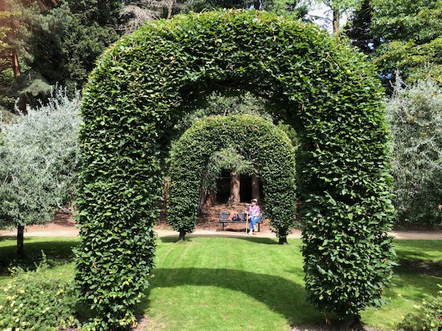 Hornbeam Arch Restoration by Kattie Kincaid